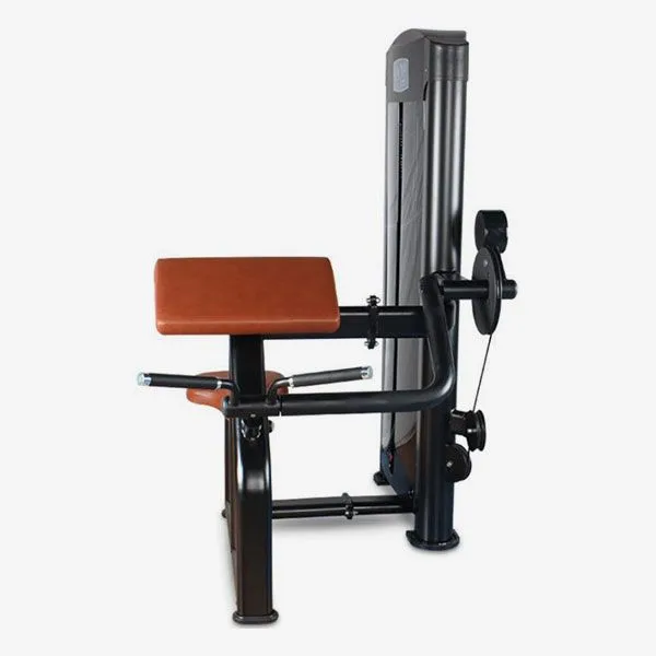 Gainmotion Biceps Curl - GM-3007B