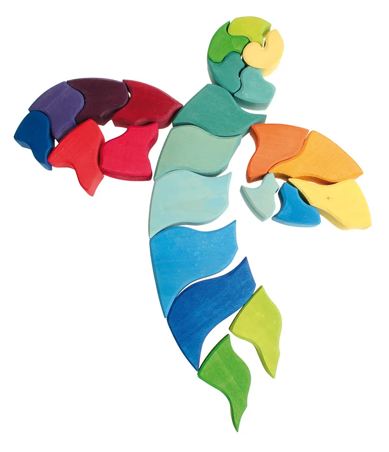 Grimm's Ammonite Snail Puzzle