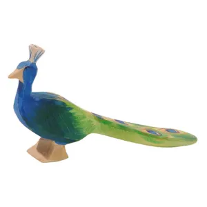 Ostheimer Peacock