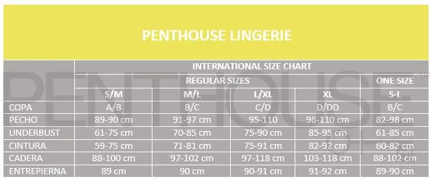 Penthouse Lingerie - Casual Seduction