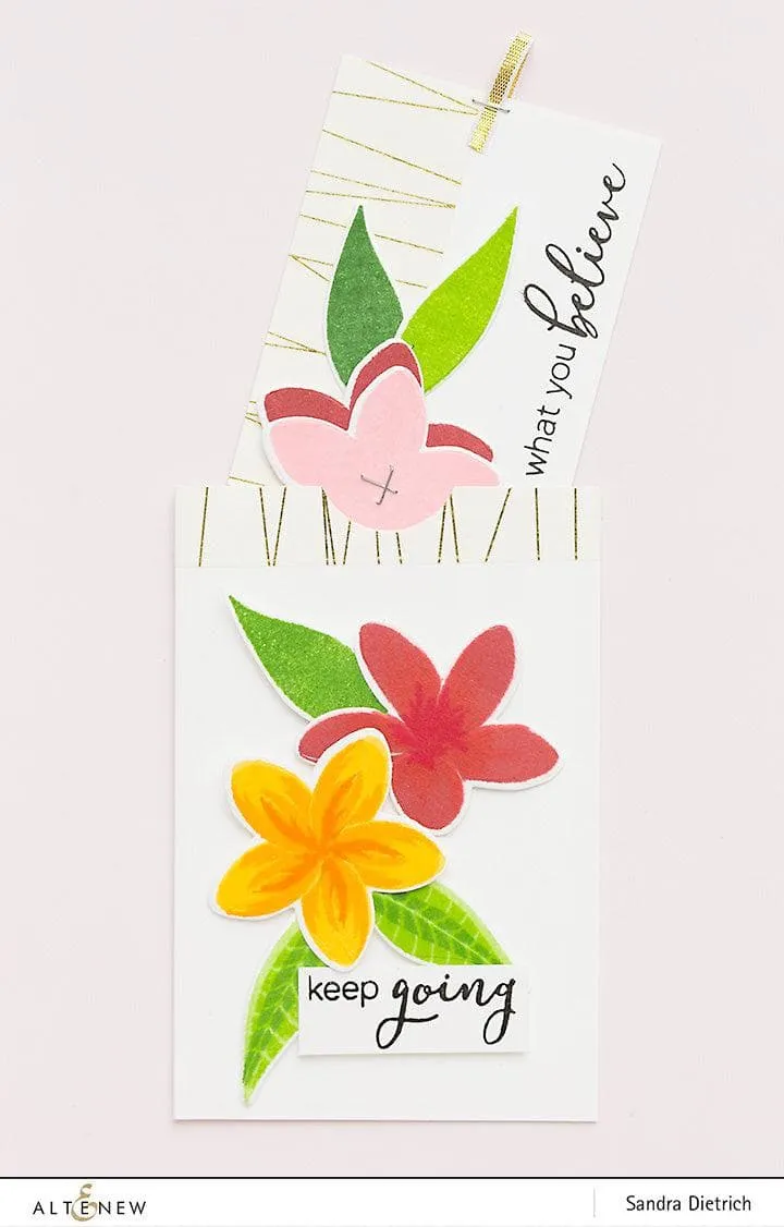 Playful Plumeria