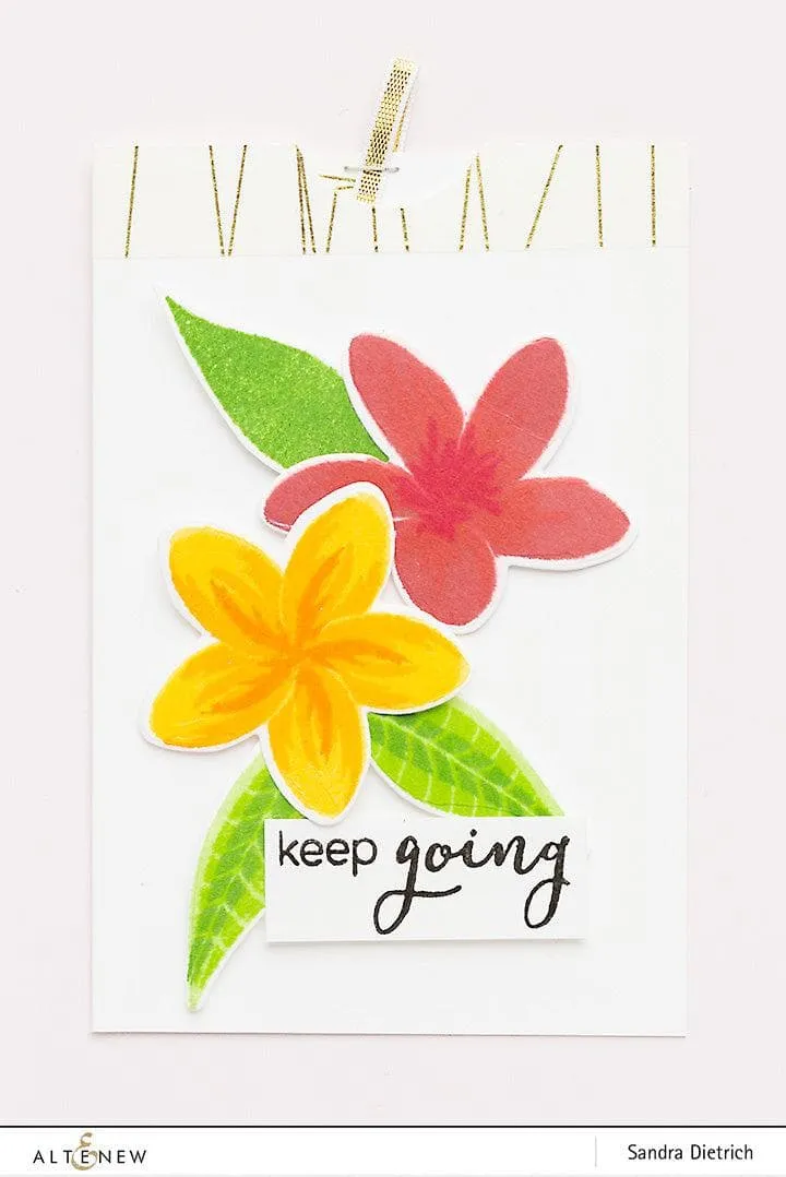 Playful Plumeria