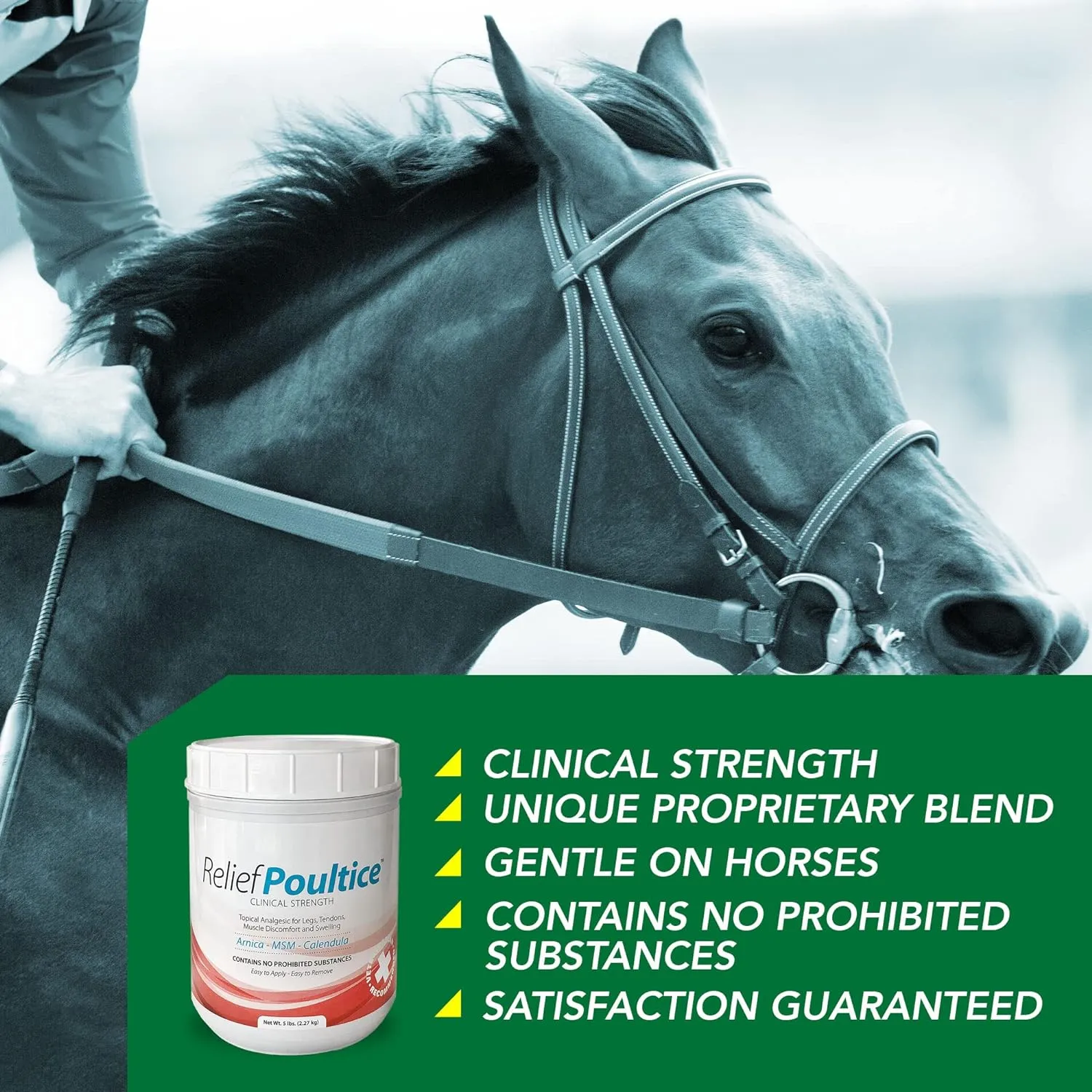 Ramard Relief Poultice Clinical Strength For Horses (5 lb)