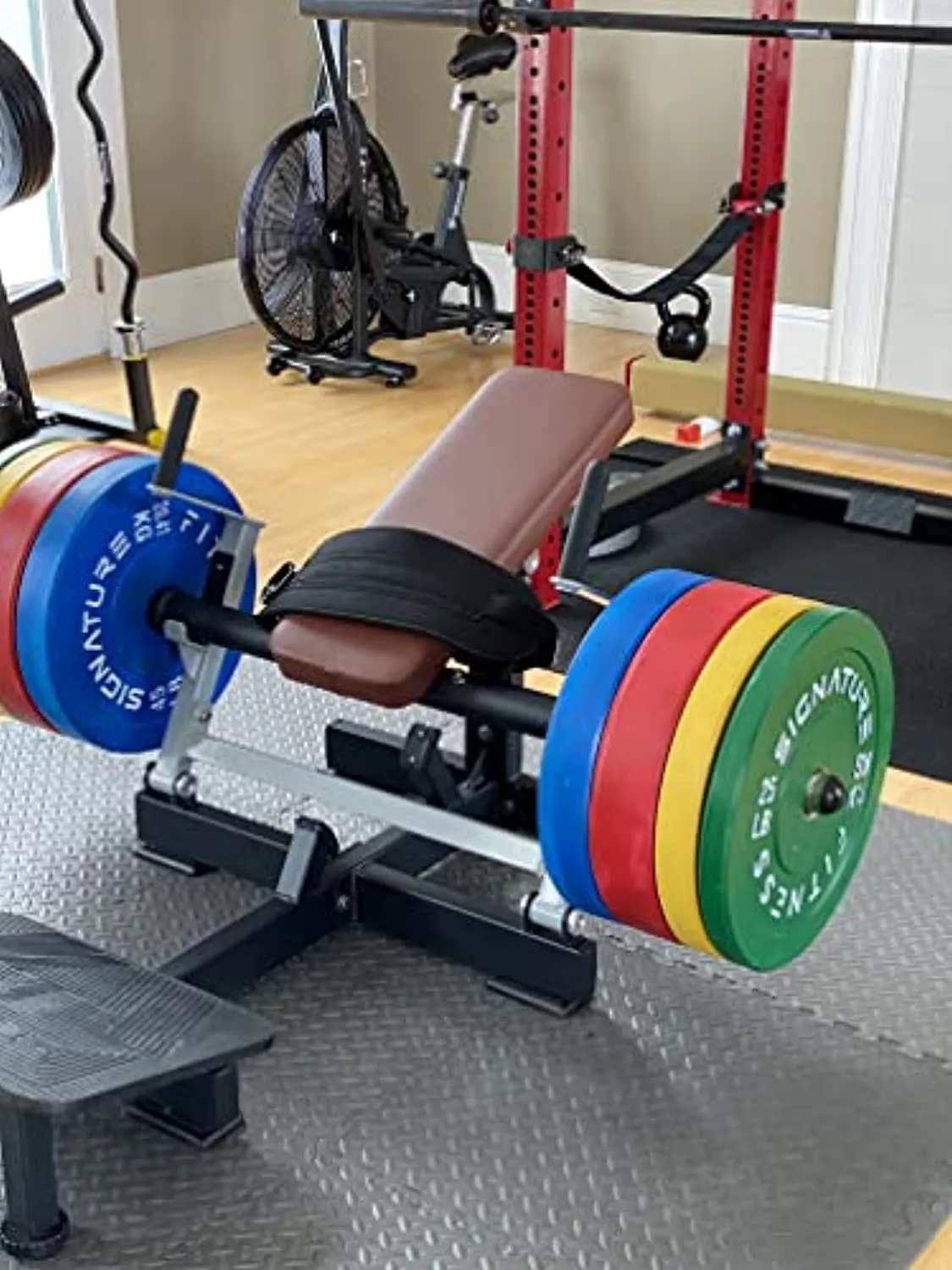 Signature Fitness Glute Bridge Plate-Loaded Hip Thrust Machine for Butt Shaping and Building Glute Muscles, Red, White, Black